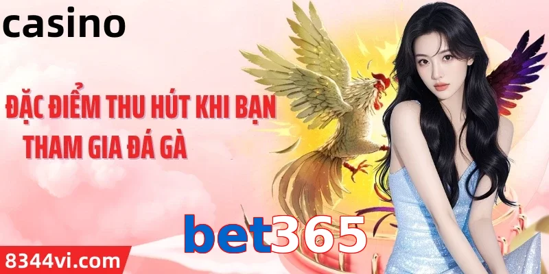 bet365